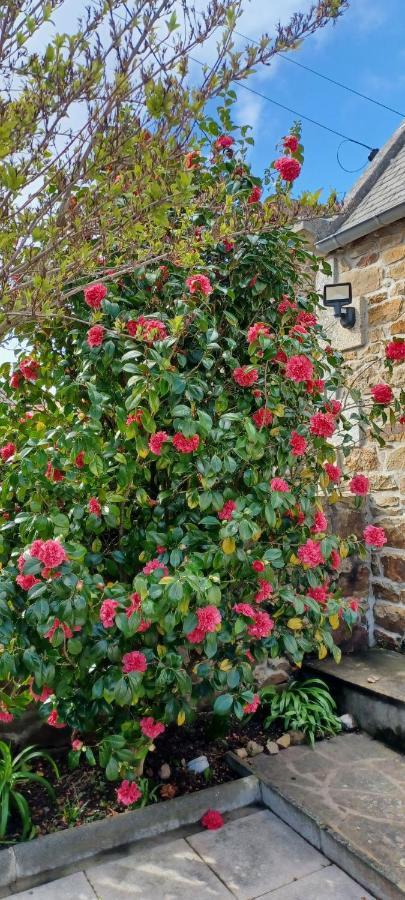 Cote De Granit Rose Villa Pleumeur-Bodou Luaran gambar